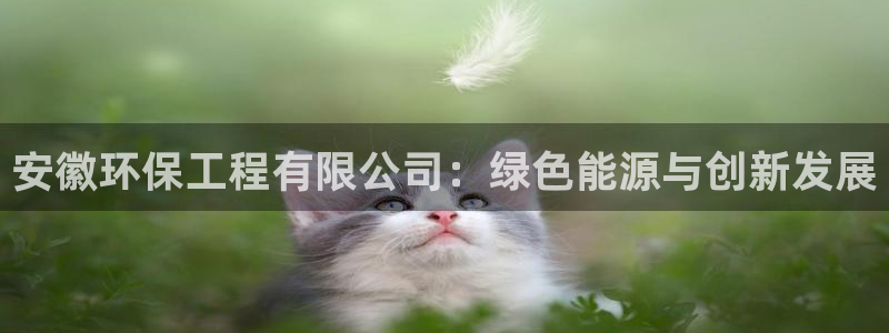 彩名堂预测计划：安徽环保工程有限公司