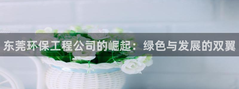 彩名堂官网客户端：东莞环保工程公司的