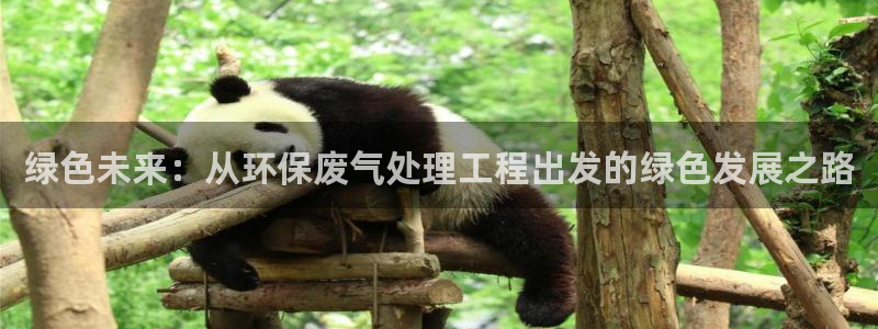 彩名堂官网计划怎么下载到手机：绿色未来：从环保废气处理工程出发的绿色发展之路