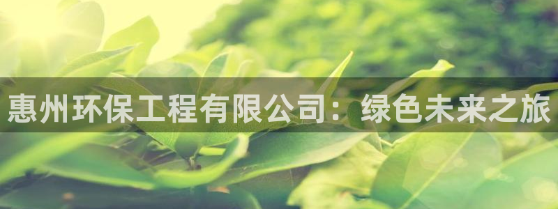 彩名堂官方平台：惠州环保工程有限公司