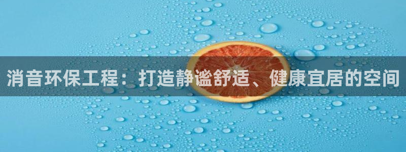 彩名堂怎么样：消音环保工程：打造静谧