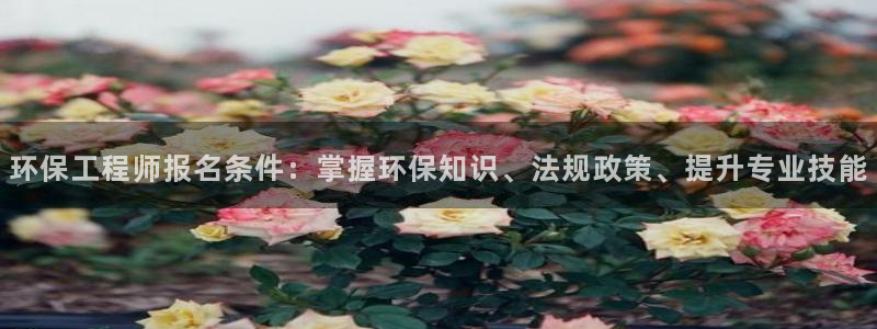 老版彩名堂：环保工程师报名条件：掌握