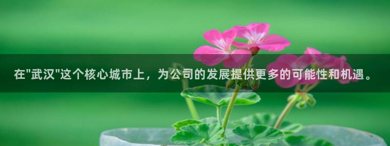彩名堂为什么打不开：在\