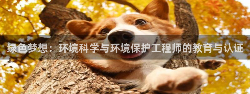 彩名堂免费计划官网5.0.0：绿色梦想：环境科学与环境保护工程师的教育与认证