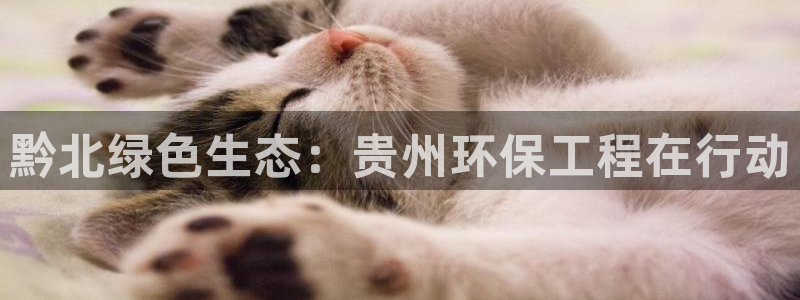 彩名堂移动客户端是什么：黔北绿色生态：贵州环保工程在行动