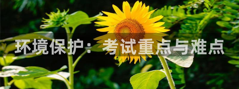 彩名堂是不是坑人的东西：环境保护：考