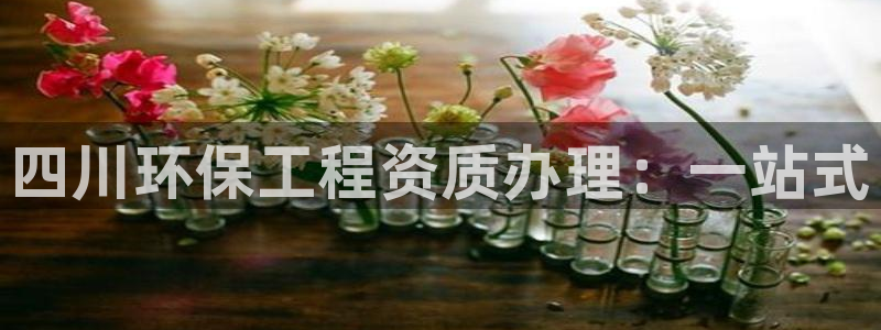 老版本彩名堂计划软件：四川环保工程资