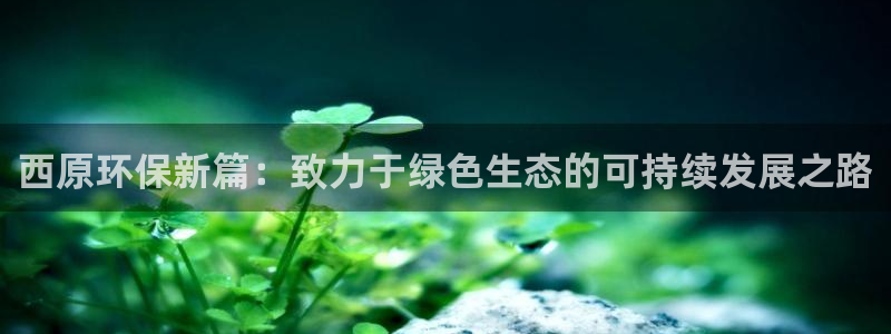 彩名堂开奖结果查询：西原环保新篇：致