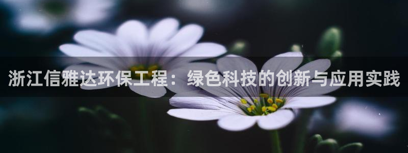 彩名堂怎么用不输：浙江信雅达环保工程