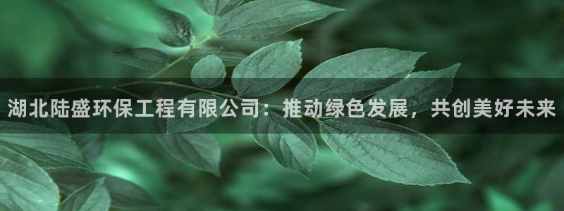 彩名堂拼音怎么拼：湖北陆盛环保工程有