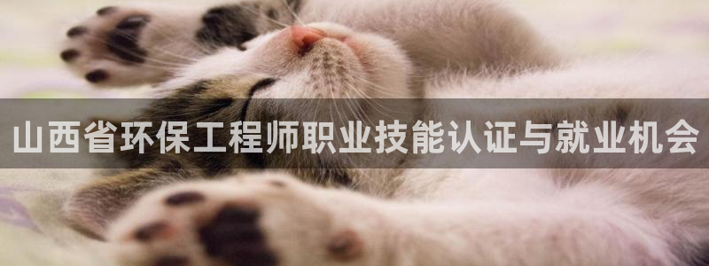 彩名堂预测计划软件：山西省环保工程师职业技能认证与就业机会