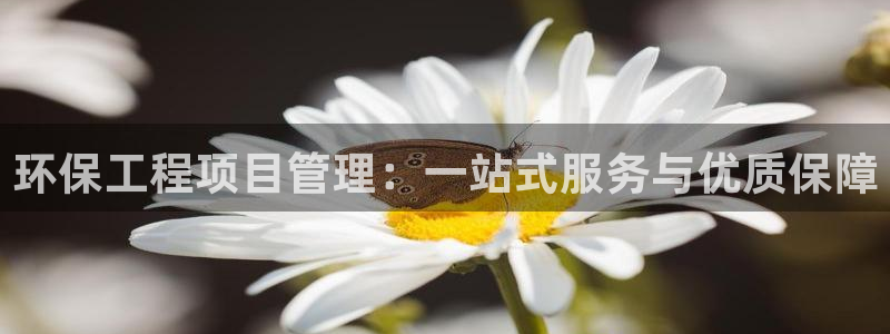 老版本彩名堂计划软件：环保工程项目管理：一站式服务与优质保障