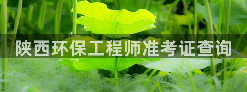 彩名堂为什么用不了了：陕西环保工程师准考证查询