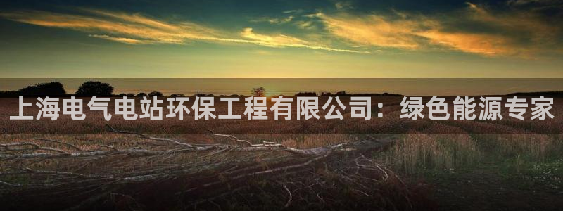 彩名堂跟哪种最好用：上海电气电站环保