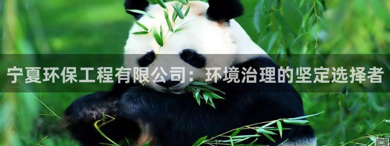 如何进入彩名堂官网更新：宁夏环保工程