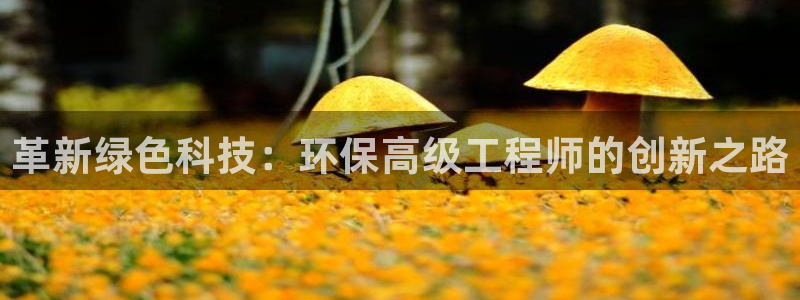 彩名堂怎么打不开了：革新绿色科技：环