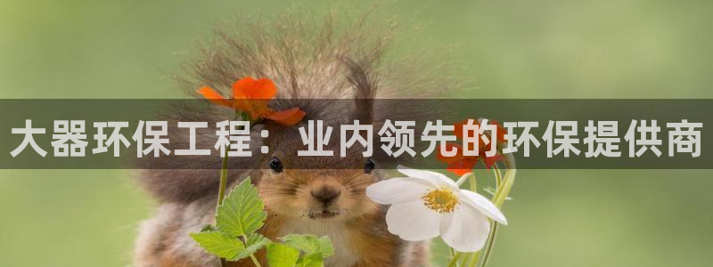 彩名堂开奖结果查询：大器环保工程：业