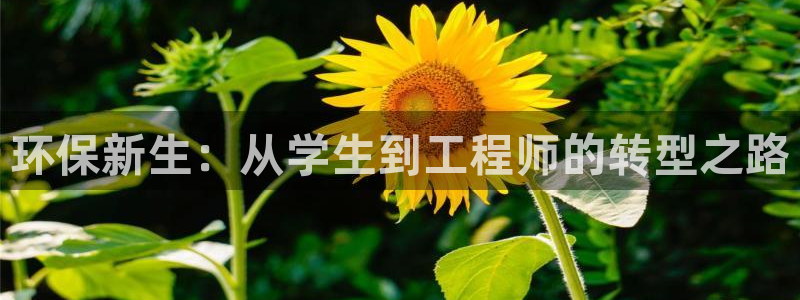 彩名堂改名稻草人了吗知乎：环保新生：