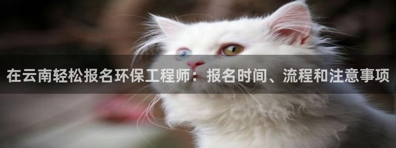 彩名堂用不了：在云南轻松报名环保工程