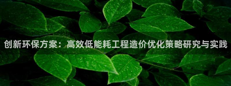 谁知道彩名堂网站是多少：创新环保方案