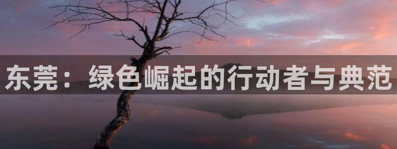 彩名堂二维码：东莞：绿色崛起的行动者