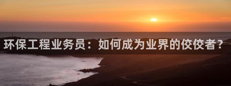 彩名堂是不是坑人的东西：环保工程业务