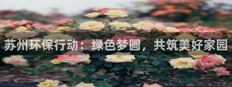 彩名堂改成什么名字了：苏州环保行动：