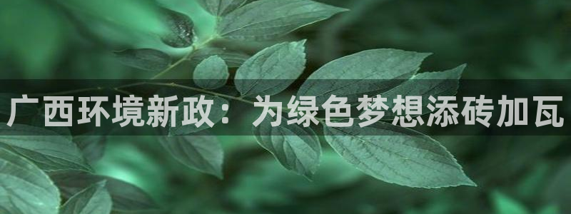 彩名堂客户端是永久免费吗：广西环境新