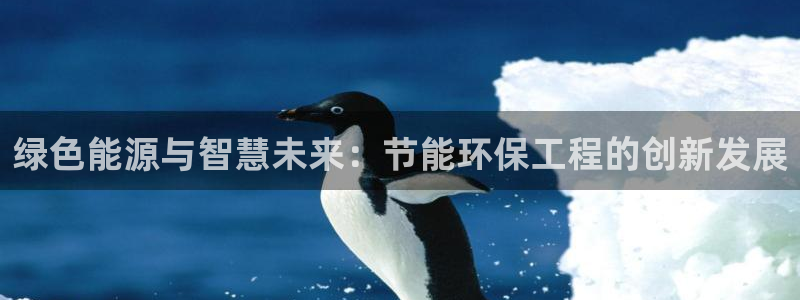 彩名堂人工计划怎么找不到下载了?：绿