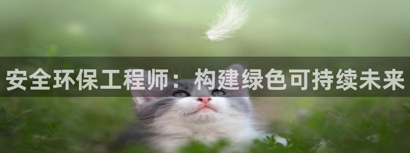 彩名堂官网计划怎么下载到手机：安全环