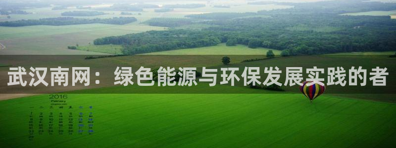 彩名堂app官方网址是多少：武汉南网：绿色能源与环保发展实践