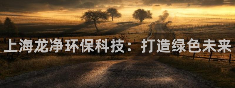 正规彩名堂官网计划：上海龙净环保科技：打造绿色未来