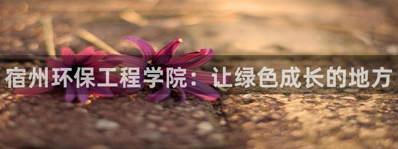 彩名堂免费计划官网怎么进不去了：宿州环保工程学院：让绿色成长