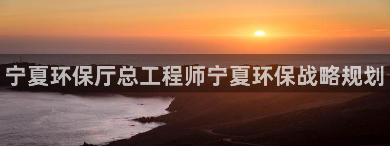 彩名堂计划怎么跟不挂：宁夏环保厅总工