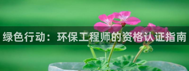 彩名堂客户端加拿大：绿色行动：环保工程师的资格认证指南