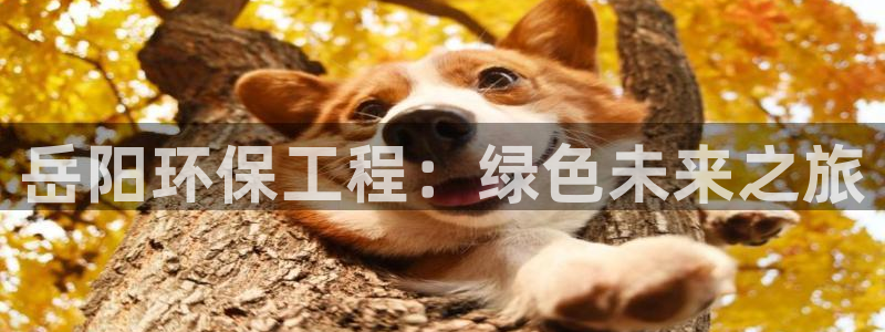 彩名堂计划官网客户端：岳阳环保工程：