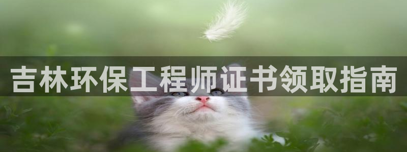 彩名堂还可以用吗：吉林环保工程师证书