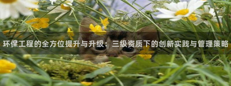 彩名堂最新计划app下载：环保工程的