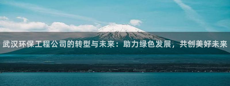 彩名堂是什么：武汉环保工程公司的转型
