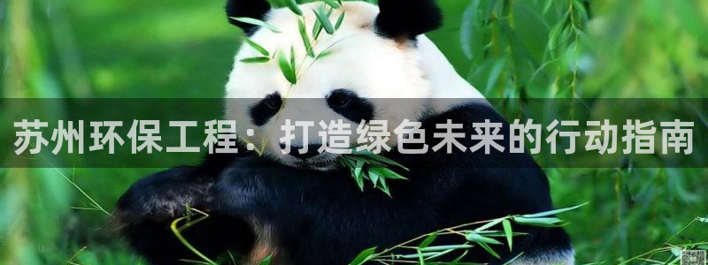 彩名堂为啥又不能用了：苏州环保工程：