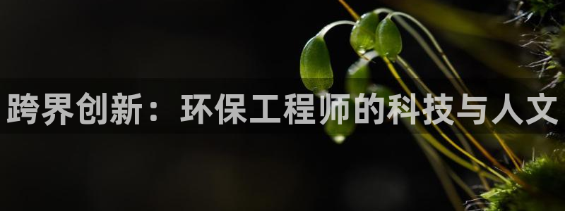 彩名堂到底怎么看,一跟就挂：跨界创新