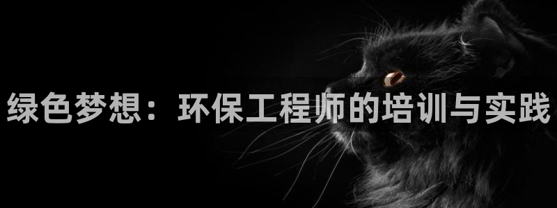 彩名堂为啥不准了乱变：绿色梦想：环保