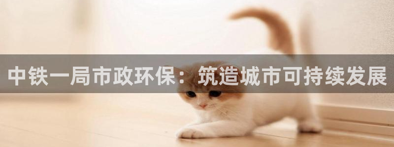 彩名堂是不是坑人的东西：中铁一局市政