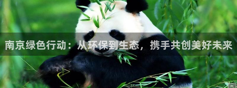 彩名堂怎么跟计划才不连挂呢：南京绿色