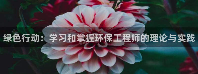 彩名堂旧版本：绿色行动：学习和掌握环保工程师的理论与实践