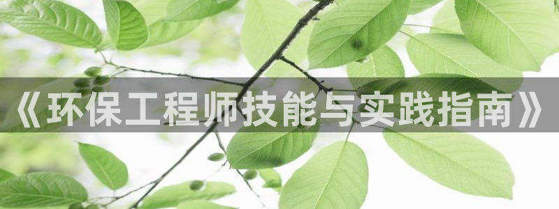 彩名堂怎么打最稳：《环保工程师技能与